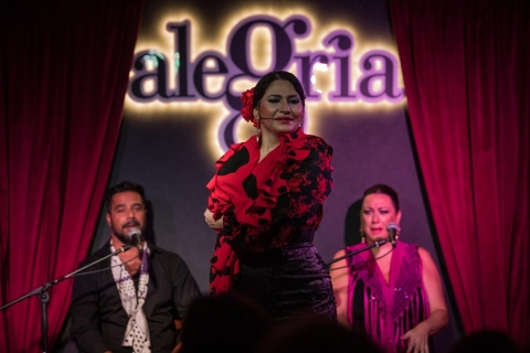 Málaga : spectacle de flamenco au Tablao Alegría