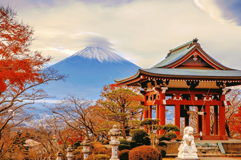 Tokyo: Mt. Fuji Tour, Hakone Ropeway, Owakudani, Lake Ashi Mt. Fuji Day Tour--Departure From Tokyo Station 8:00am