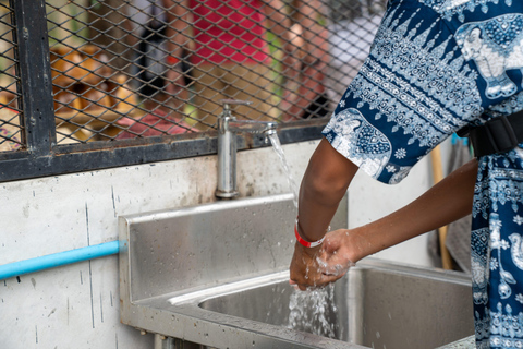 Khao Lak’s Best: Elephant Sanctuary,Rubber Tapping&Waterfall Khaolak Elephant Sanctuary Guided Tour with Hotel Transfers