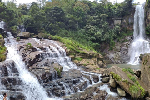 Kandy: Nuwara Eliya Transfer with Tea Factories & Falls Kandy–Nuwara Eliya drop with Tea Factory & Waterfall Stop