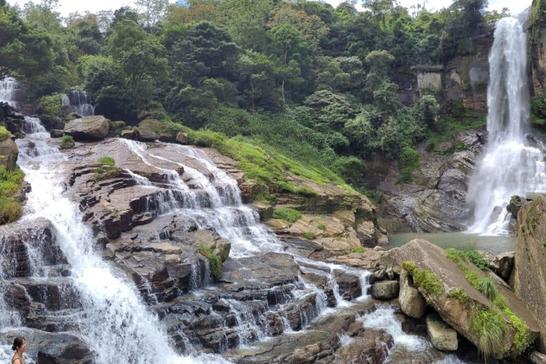 Kandy: Nuwara Eliya Transfer with Tea Factories & Falls Kandy–Nuwara Eliya drop with Tea Factory & Waterfall Stop