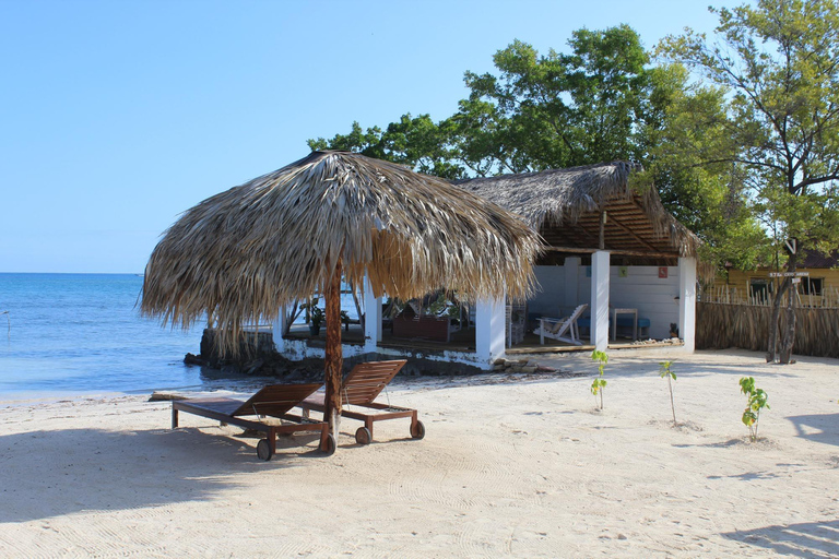 Private: Catamaran Adventure &amp; Beach BBQ at Catalina Island