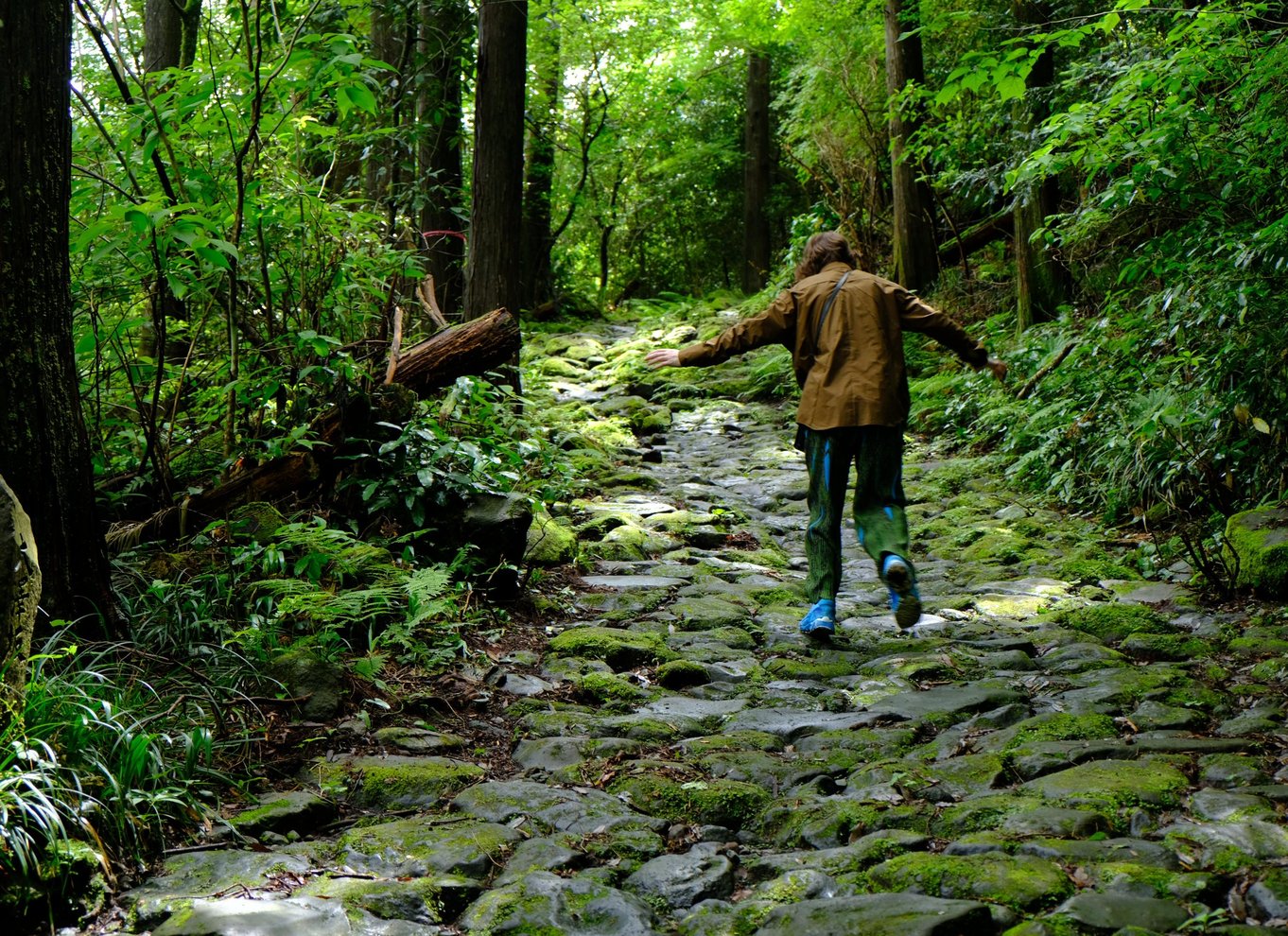Hakone Hachiri: Old Tokaido Highway Hiking Halvdagstur