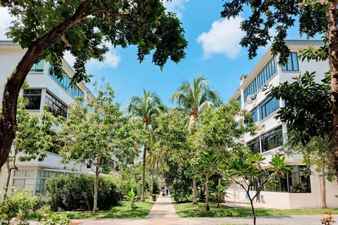 Tiong Bahru: Historias y aperitivos en el barrio más antiguo de Singapur