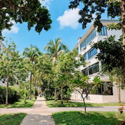Singapore: Explore Oldest Estate Tiong Bahru Stories & Snack Singapore: Explore Oldest Estate Tiong Bahru Stories & Snack