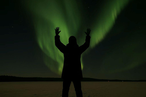 Rovaniemi: Dansa salsa under norrskenetRovaniemi: Salsadans under norrskenet