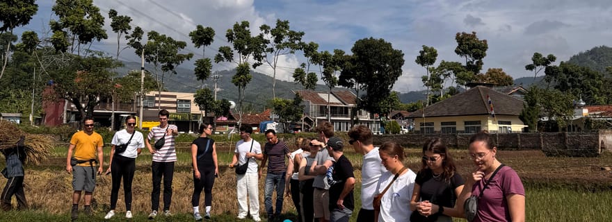Rizières, plantation de café, cratère blanc et sources chaudes