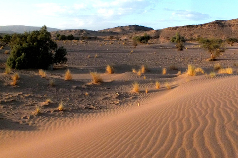 From Agadir: 4×4 Jeep Sahara Desert Tour with Lunch