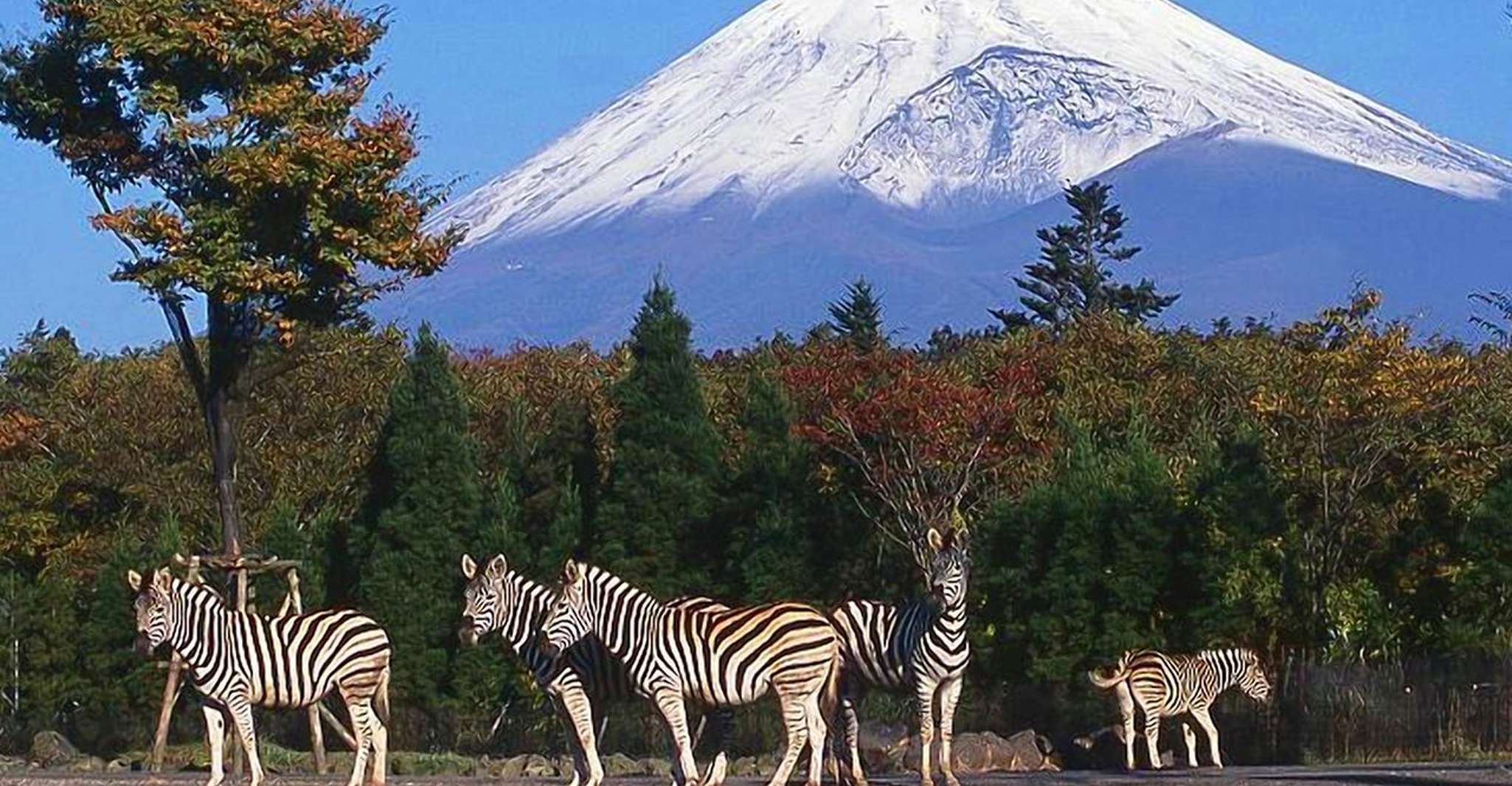 Mt Fuji , Tour destacado y experiencia inolvidable - Hizvo
