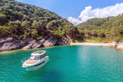 Private Tour mit dem Schnellboot Sea Symphony