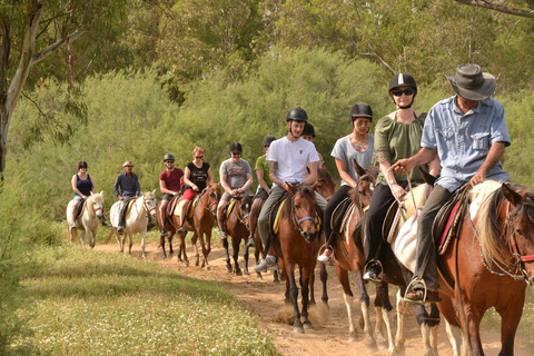 Alanya: Unique Horse Safari Experience in the Taurus Mountains with Transport Alanya: Unique Horse Safari Experience in the Taurus Mountains + Transfer