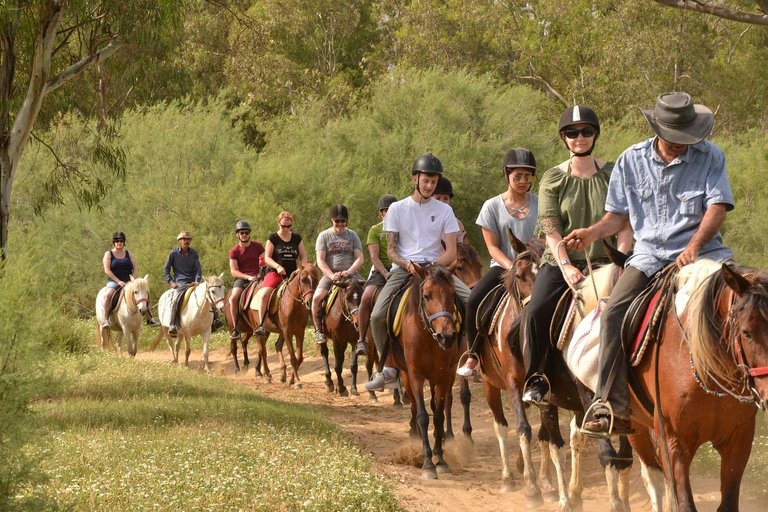 Alanya: Unique Horse Safari Experience in the Taurus Mountains with Transport Alanya: Unique Horse Safari Experience in the Taurus Mountains + Transfer