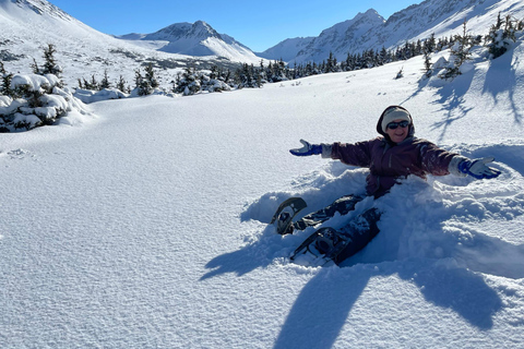 From Anchorage: Glen Alps Beginner's Snowshoeing Adventure