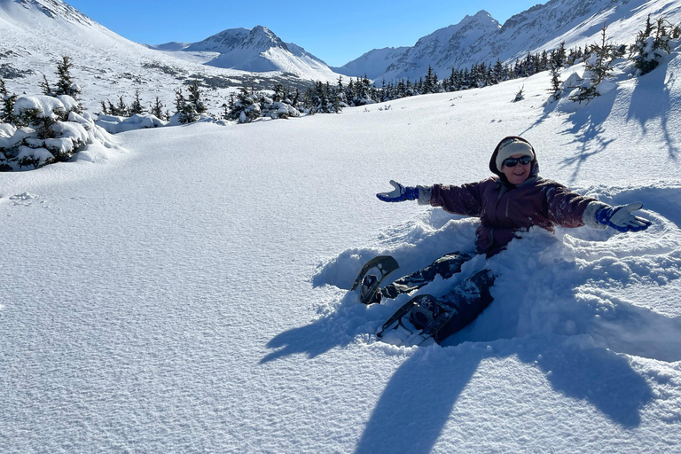 From Anchorage: Glen Alps Beginner's Snowshoeing Adventure