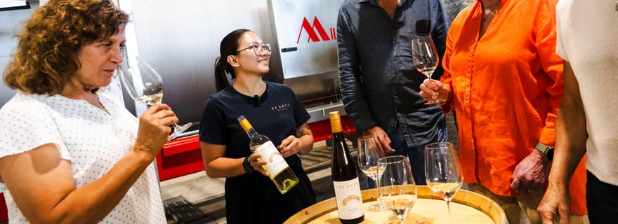 Port Lincoln : dégustation de vins et de mets, visite du vignoble