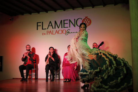 Granada: Show de flamenco tradicional de uma hora no PalacioFlamenco no Palácio Granada