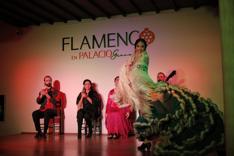 Granada: Spettacolo di flamenco tradizionale di un&#039;ora al PalacioFlamenco al Palacio Granada