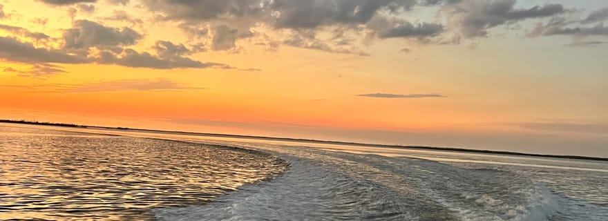 Cape Coral : croisière privée pour observer les dauphins et admirer le coucher du soleil