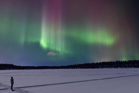 Levi: Winter Noorderlicht Avontuur