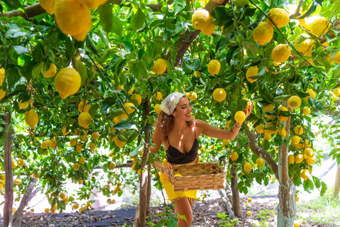 Amalfi Coast: Fiat 500 Jolly Tour with Lemon Grove Visit Sunset - No Lemon Grove