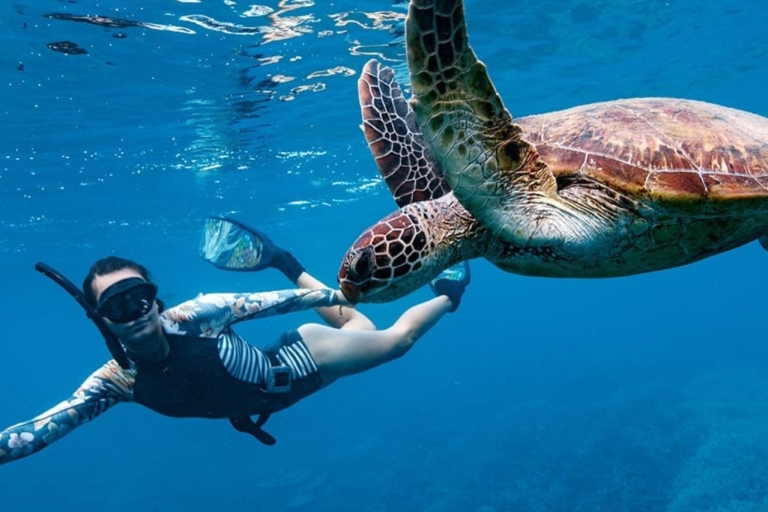 Île de Gili T : Gili Snorkeling excursion d'une journée Nager avec les tortuesExcursion de plongée en apnée à Gili T