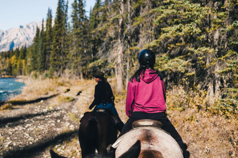 Pemberton Hill: Scenic Horseback Ride for Beginners