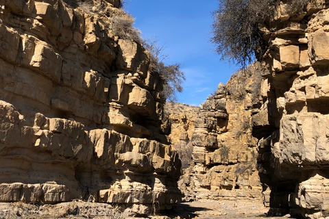 يريفان: جولة في خور فيرب، ووادي الملائكة، ووادي أرارات