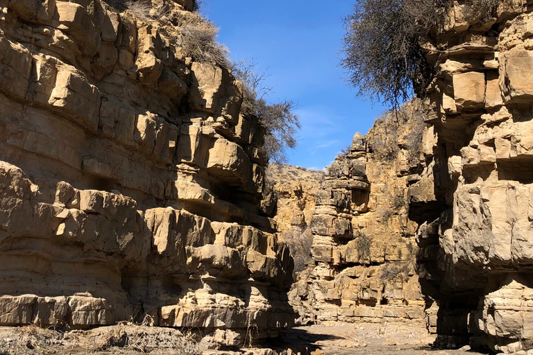 يريفان: جولة في خور فيرب، ووادي الملائكة، ووادي أرارات