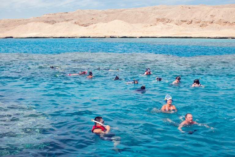 Sahl Hasheesh: Dolphin Watching and Snorkeling Tour w lunch