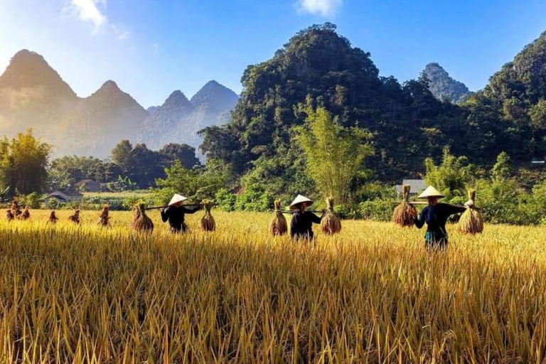 Da Ha Noi: Tour ad anello di Cao Bang di 3 giorni per visitare i villaggi locali