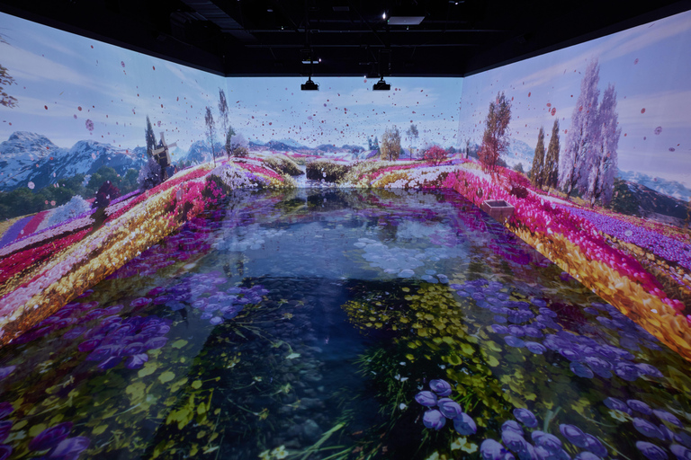 Paju: Museum HEI Immersive Media Art Exhibition Entry Ticket