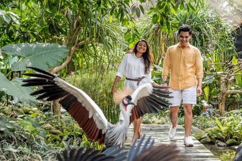 Parque de aves de Bali: ticket de un día