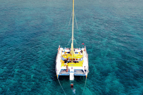 Honolulu: Catamaran Swim, Snorkel, and Sail with Drinks 2 Hour Snorkel, Swim & Sail