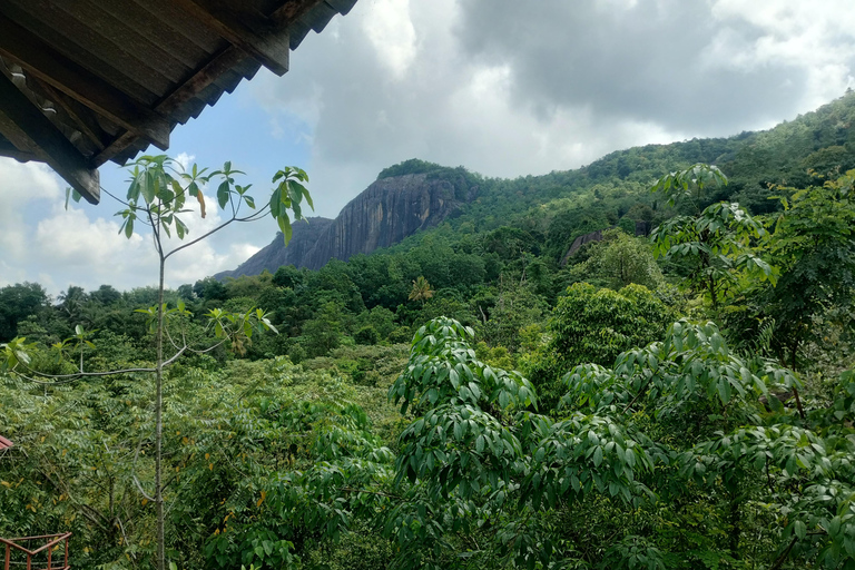 Colombo: Excursión de un día; jardines botánicos de la zona húmeda de Seethawaka