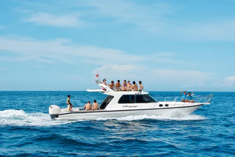 From Lembongan: Full Day Private Boat Snorkeling Nusa Penida