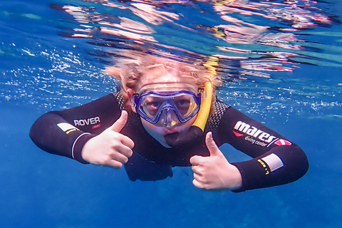 Mallorca, Alcudia: Dip & Dive – Scuba Diving for Beginners & Snorkeling Mallorca: Dip&Dive – Snorkeling & Scuba Diving (No License Required) – Cap de Formentor
