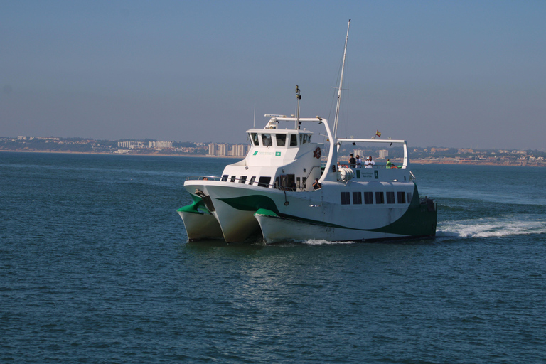 Exclusive Sherry Heritage & Cádiz Bay Experience