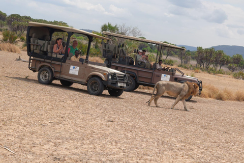 From Zanzibar: Best Day Safari Mikumi with flights and lunch