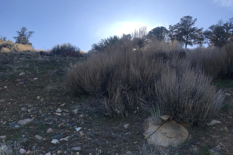 Big Bear Meditation Hike