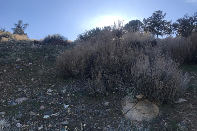 Big Bear Meditation Hike