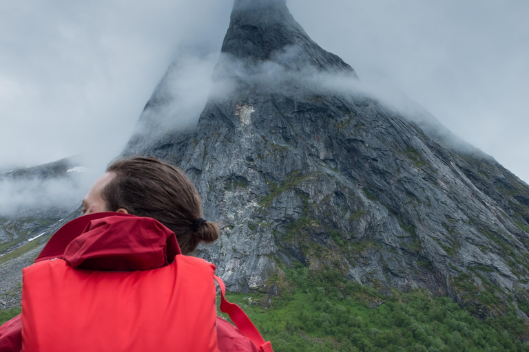 Senja: Fjord Kayaking in Ånderdalen National Park