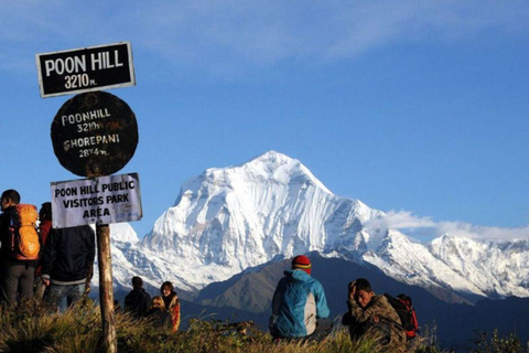 Pokhara: trekking di 3 giorni a Poon Hill con vista sull&#039;alba