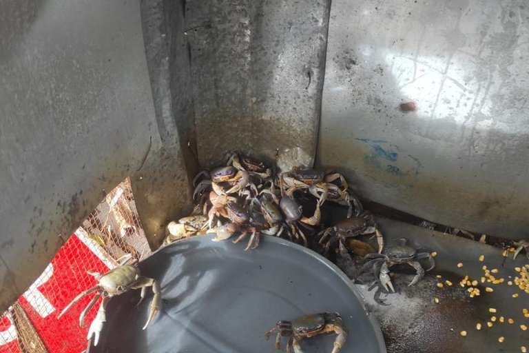 Puerto Plata City Tour: Historic Center & Countryside Ride