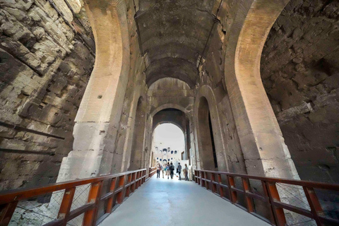 Rome: Colosseum, Roman Forum & Palatine Hill Tour Guided Tour in French