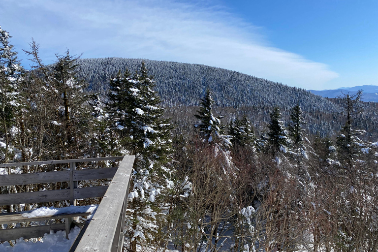 Montreal: Canadian Forest Guided Tour by Snowmobile Snowmobile for One Person