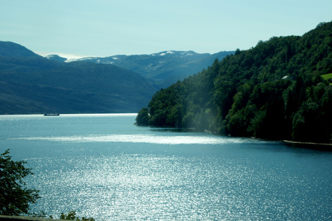 Tour guiado pelo Fiorde de Hardanger, cachoeiras e travessia de balsa