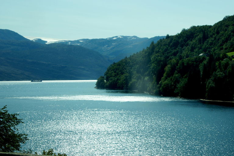 Guidad tur till Hardangerfjorden, vattenfall, färjeöverfart