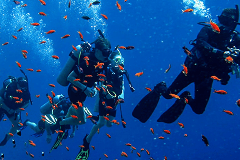 Sharm El-Sheikh: Beach Day & Intro Scuba Diving