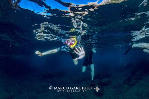 Sorrento: Schnorchel-Tour am Morgen mit einem Meeresbiologen.