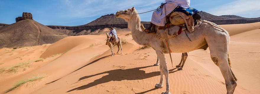 Mauritanie : aventure entre désert et mer du Banc d’Arguin
